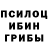 Галлюциногенные грибы Magic Shrooms andrew pinetree