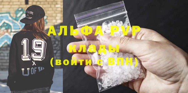 индика Арсеньев