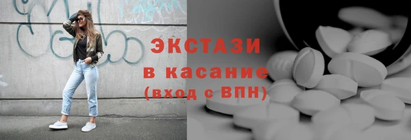 индика Арсеньев
