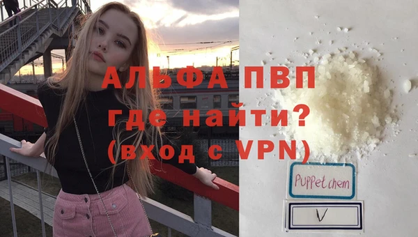 индика Арсеньев