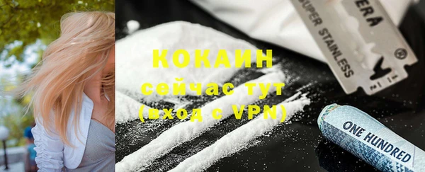 индика Арсеньев