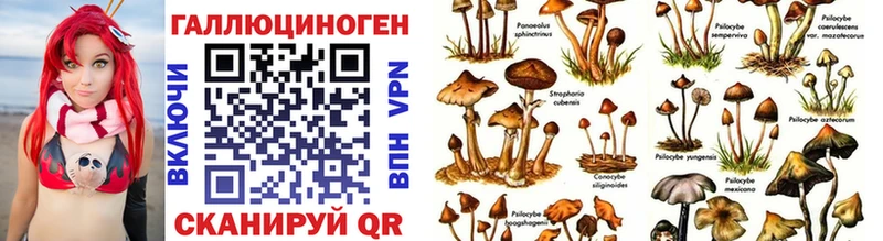 Псилоцибиновые грибы ЛСД  Рыбное 